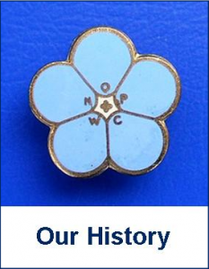 History Icon