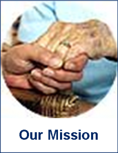 Mission Icon